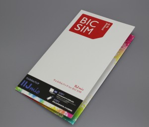 BIGSIM