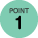 icon-point1-1-g